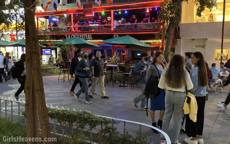 zona rosa mexico city nightlife|The 10 Best Nightlife in Reforma / Zona Rosa, Mexico .